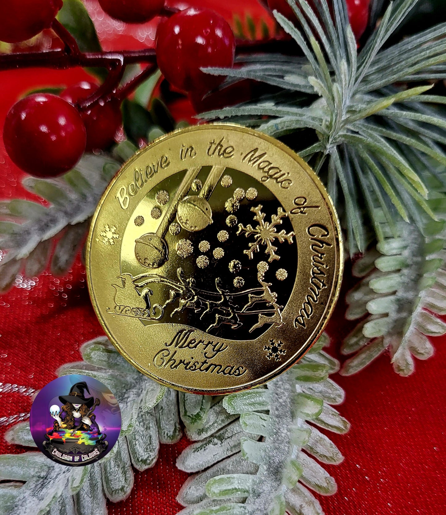 Santa Claus Wishing Coin