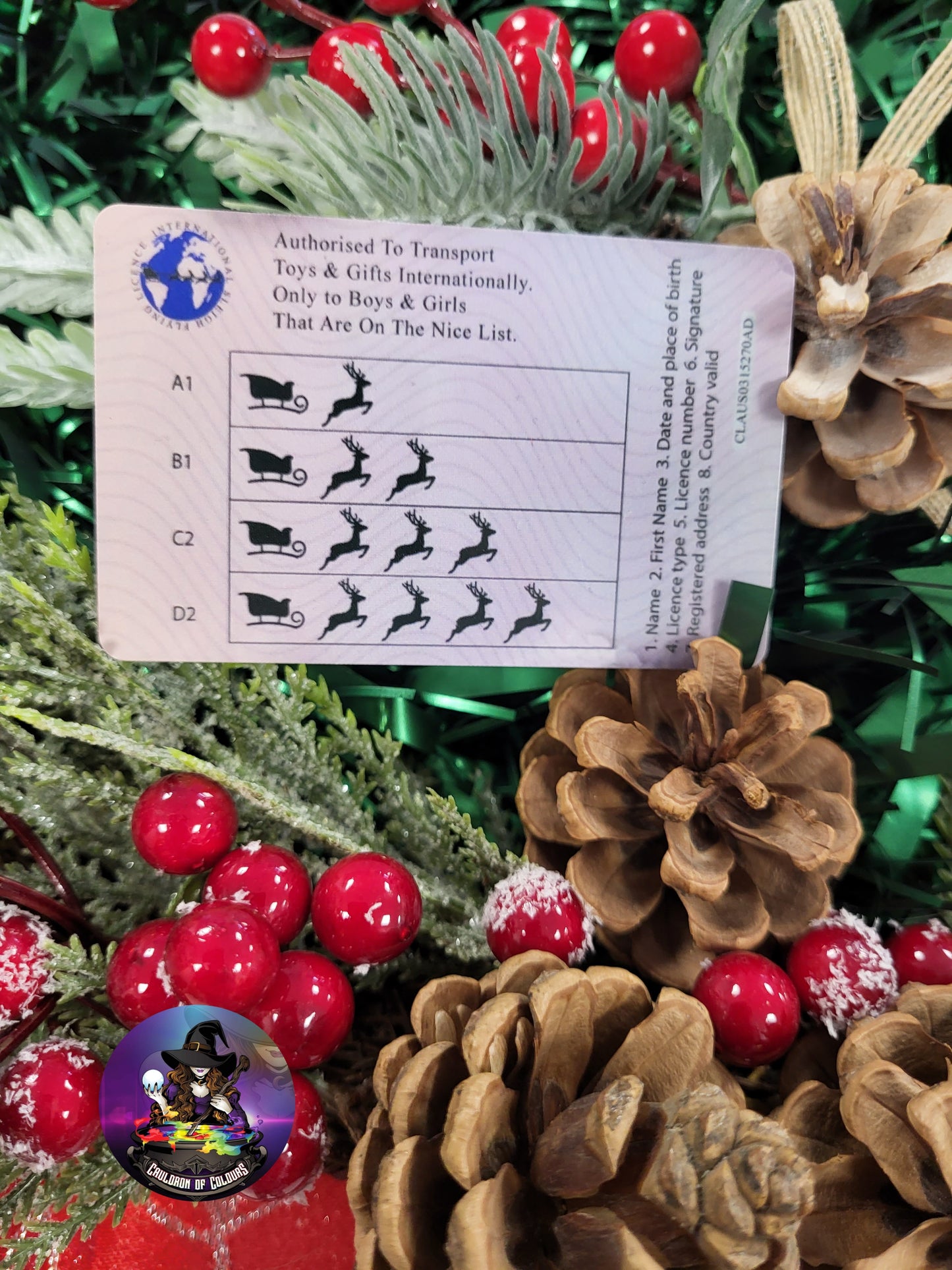 Santas Sleigh Flying Licence