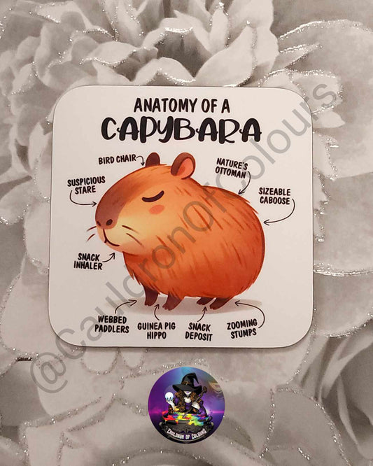 Capybara Coaster