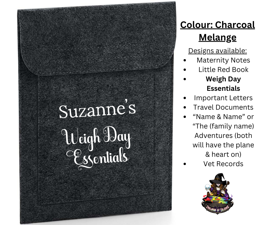 Personalised Felt Document Holder